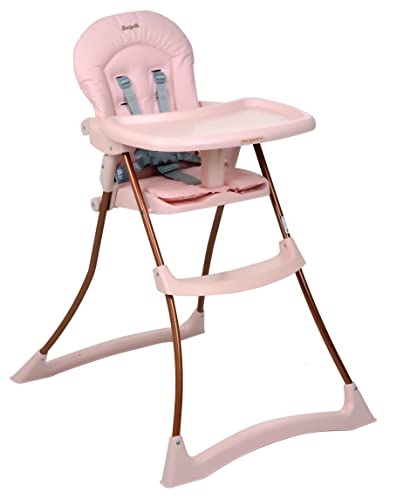 cadeira-de-alimentacao-burigotto-bon-appetit