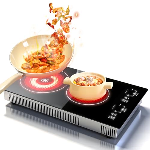 fogao-eletrico-2-bocas