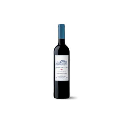 vinho-bons-ventos-750ml