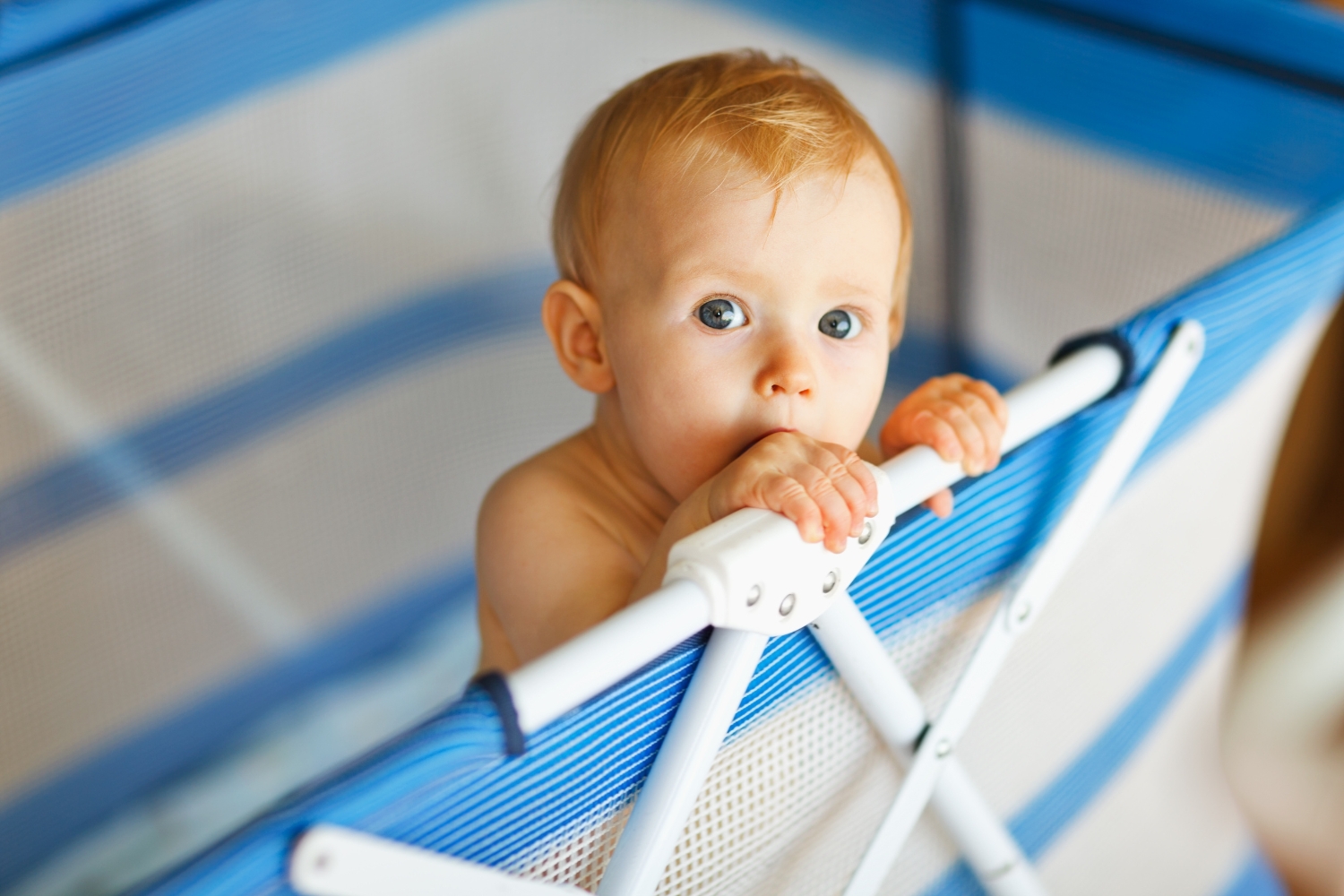 Melhor chiqueirinho para bebê: os 10 melhores em 2026