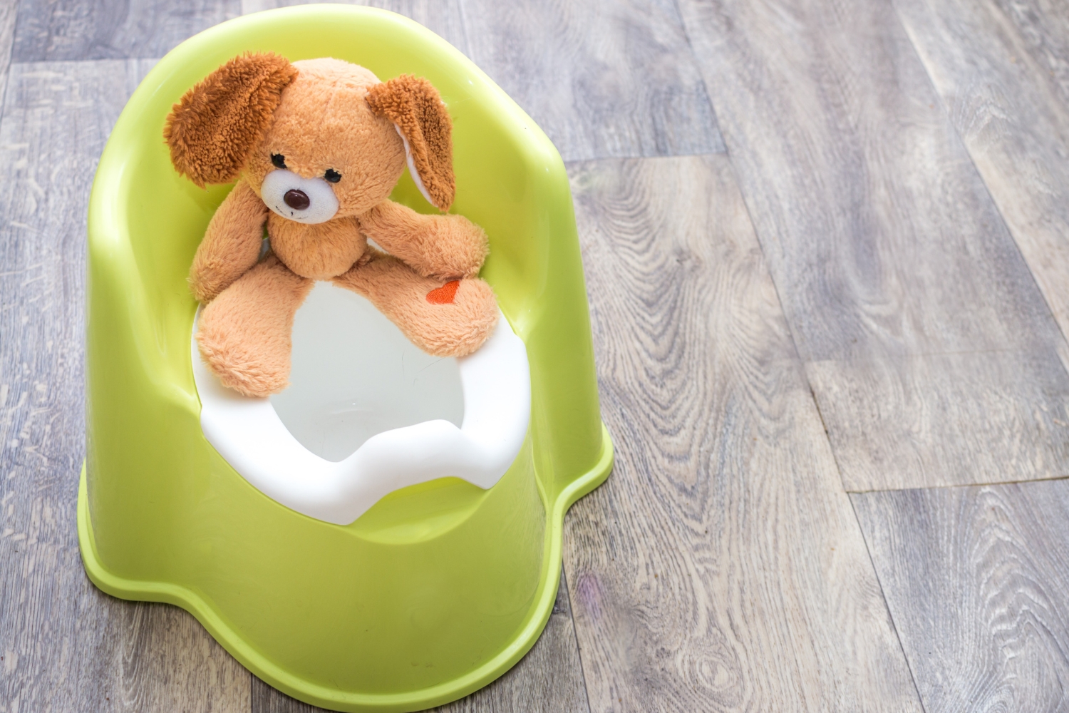 Melhor troninho infantil: os 10 melhores em 2026